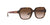 Lentes de Sol Coach Havana HC8335U