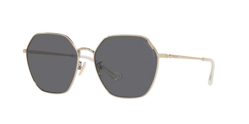 Lentes de Sol Coach Dorado HC7132