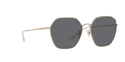 Lentes de Sol Coach Dorado HC7132