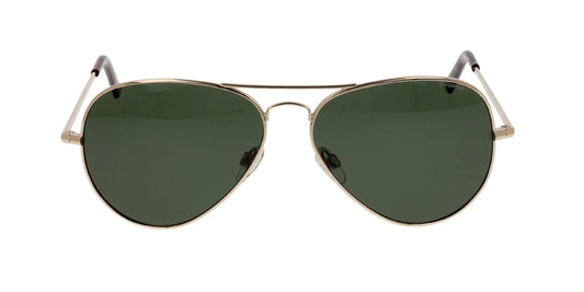 Lentes de Sol Polaroid PLD1017/S Dorado
