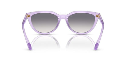 Lente Solar Armani Exchange AX4130SU Morado