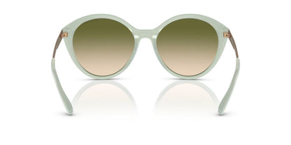 Lente Solar Armani Exchange AX4134S Verde
