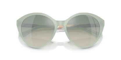 Lente Solar Armani Exchange AX4134S Verde