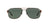 Solar Graduado Polo Ralph PH3089G Café