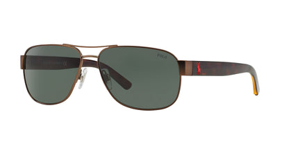 Solar Graduado Polo Ralph PH3089G Café