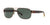 Solar Graduado Polo Ralph PH3089G Café
