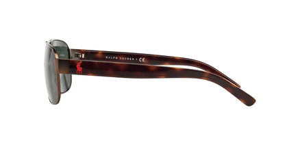 Solar Graduado Polo Ralph PH3089G Café