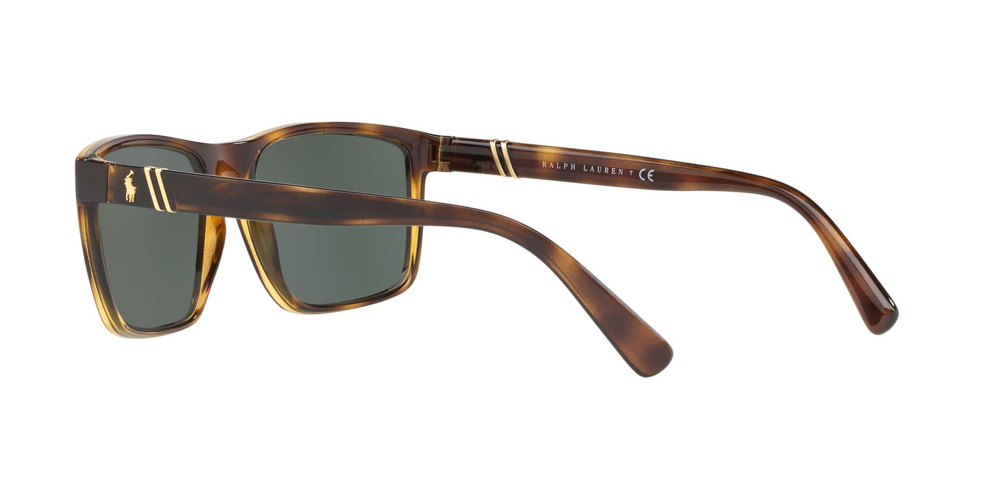Lentes de Sol Polo Ralph PH4133 Havana