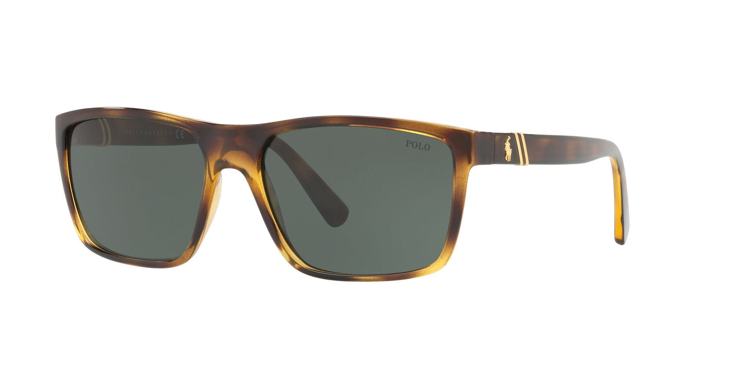 Lentes de Sol Polo Ralph PH4133 Havana