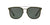 Solar Graduado Polo Ralph PH4144 Verde