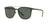 Solar Graduado Polo Ralph PH4144 Verde