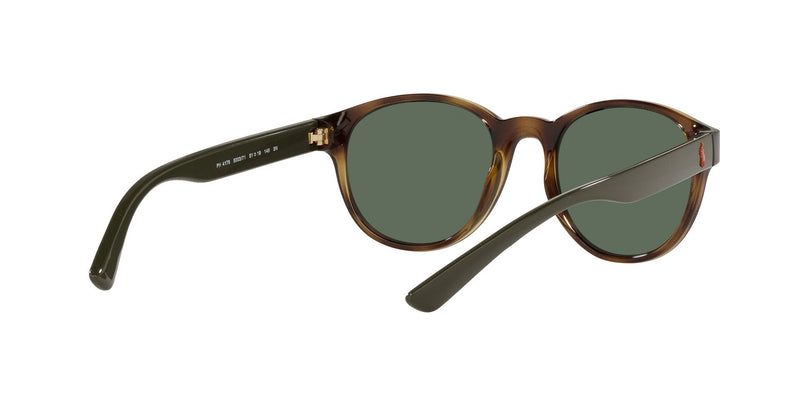 Lentes de Sol Polo Ralph PH4176 Havana