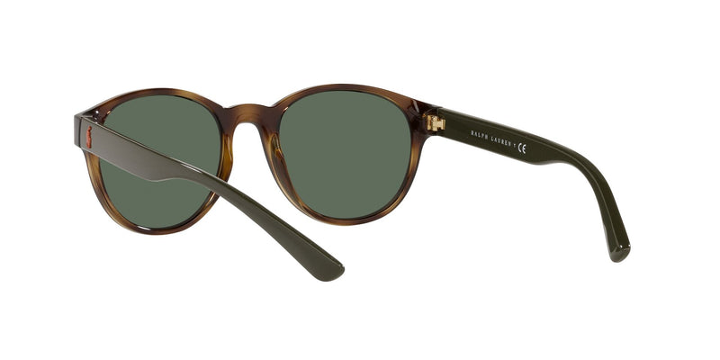 Lentes de Sol Polo Ralph PH4176 Havana