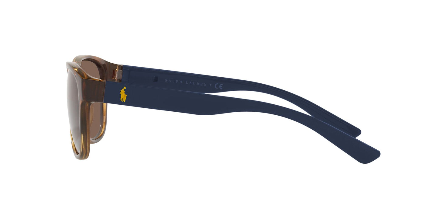 Lentes de Sol Polo Ralph PH4180U Havana