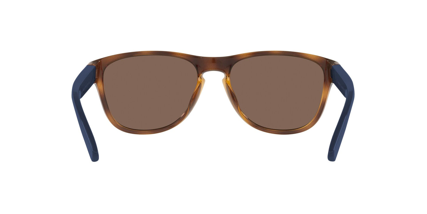 Lentes de Sol Polo Ralph PH4180U Havana