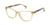 Lente Oftálmico Ralph Lauren RA7137U Transparente