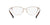 Lente Oftálmico Ralph Lauren RA6055 Rosa