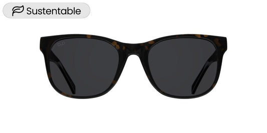 Lentes de Sol D By D DBSU5000 Havana