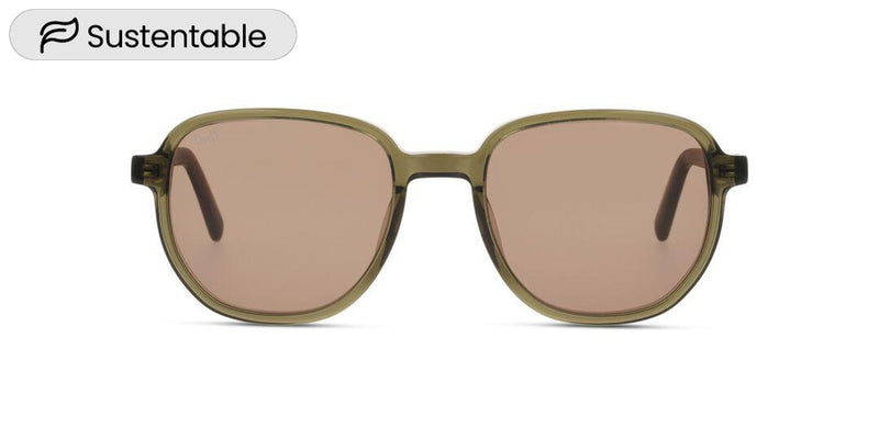 Lentes de Sol D By D DBSU5012 Havana