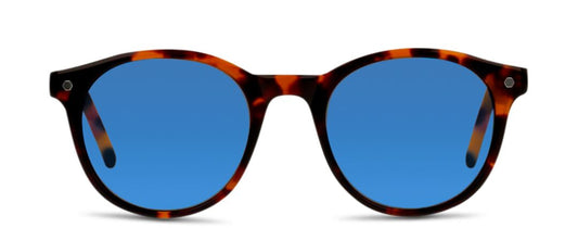 Lentes de Sol In Style ILEM05 Havana