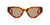 Solar Graduado Unofficial UNSF0210P Havana
