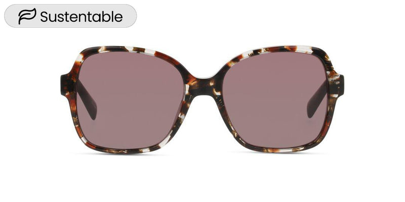 Lentes de Sol D By D DBSF5008 Havana