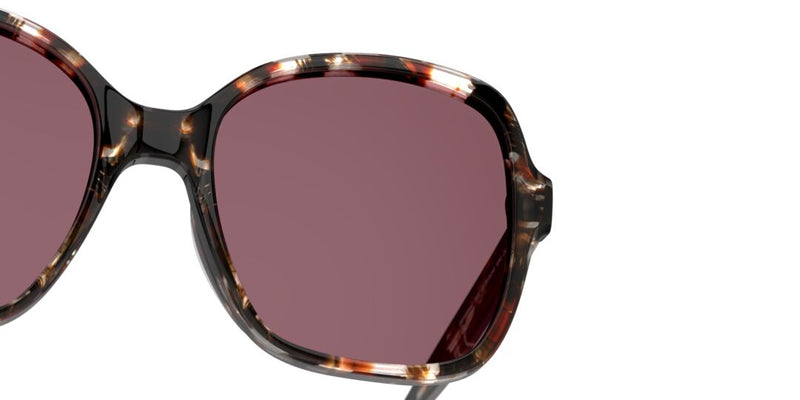 Lentes de Sol D By D DBSF5008 Havana