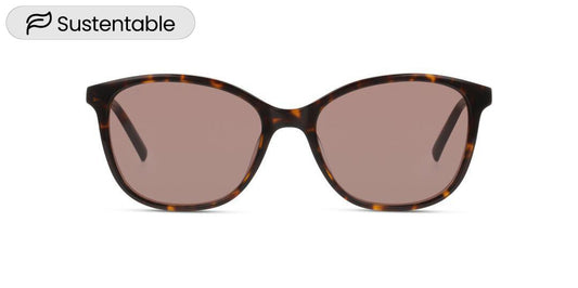 Lentes de Sol D By D DBSF5013 Havana