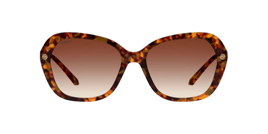 Lentes de Sol Unofficial UNSF0163P Havana