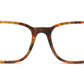 Lente Oftálmico Polo PH2234 Havana-Más Visión México