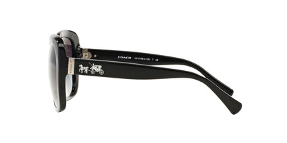 Lentes de Sol Coach HC8158 Negro-Solaris México