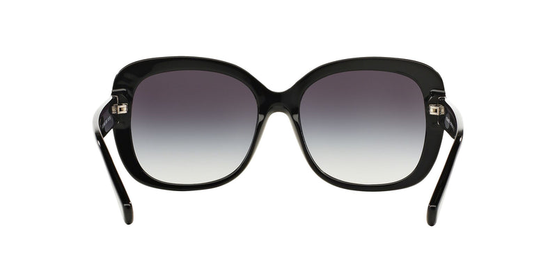 Lentes de Sol Coach HC8158 Negro-Solaris México
