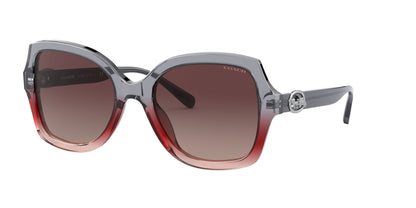 Lentes de Sol Coach HC8295 Gris-Más Visión México