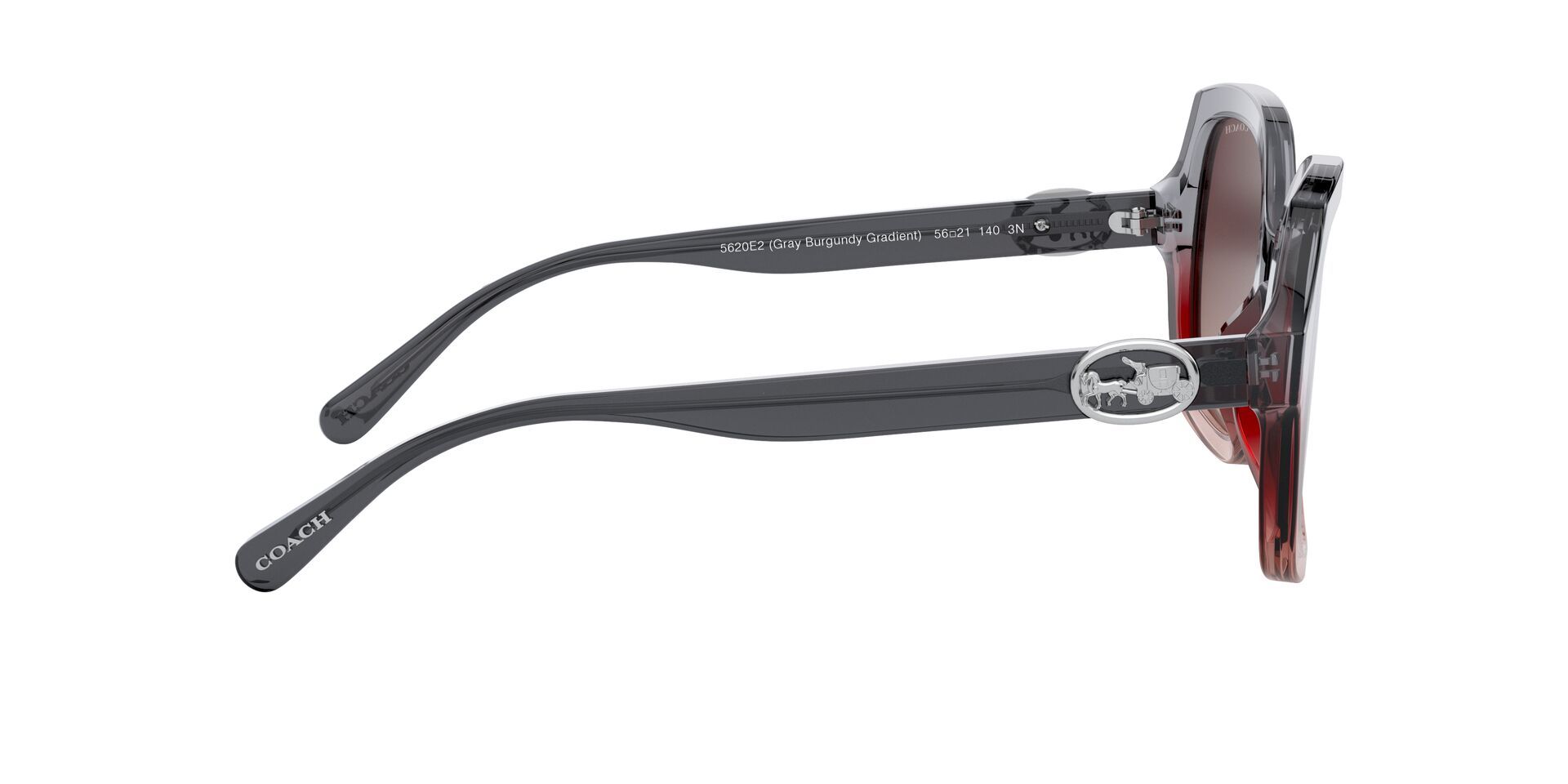Lentes de Sol Coach HC8295 Gris-Más Visión México