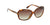Lentes de Sol Polaroid PLD4098/S Havana-Más Visión México