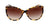 Lentes de Sol Ralph Lauren PH5150G Havana-Más Visión México
