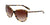Lentes de Sol Ralph Lauren PH5150G Havana-Más Visión México