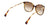 Lentes de Sol Ralph Lauren RA5248 Havana-Más Visión México