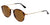 Lentes de Sol Ray Ban RB2447 Havana-Más Visión México