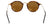 Lentes de Sol Ray Ban RB2447 Havana-Más Visión México