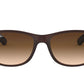 Lentes de Sol Ray Ban RB4202 Café-Más Visión México