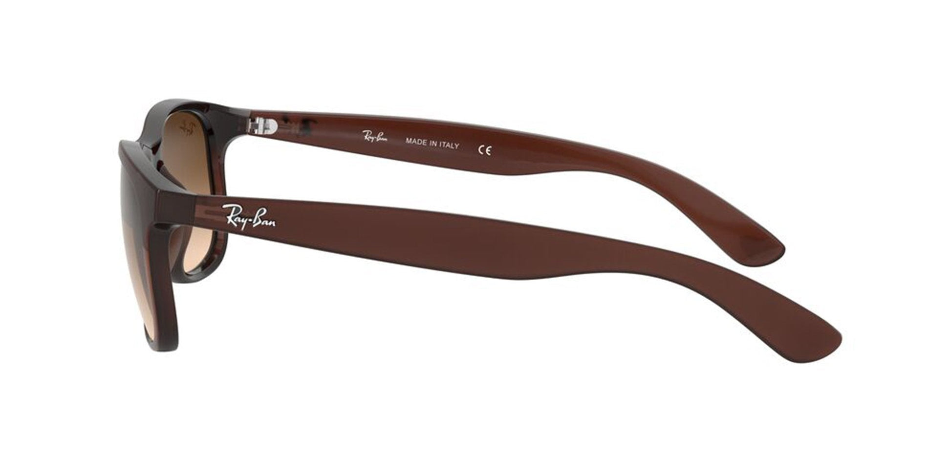 Lentes de Sol Ray Ban RB4202 Café-Más Visión México