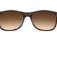 Lentes de Sol Ray Ban RB4202 Café-Más Visión México