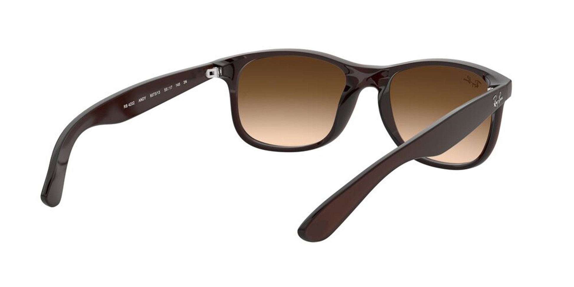 Lentes de Sol Ray Ban RB4202 Café-Más Visión México