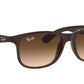 Lentes de Sol Ray Ban RB4202 Café-Más Visión México