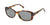 Lentes de Sol Seen SNSF0020 Havana-Más Visión México